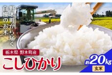 米 令和7年産 お米 コシヒカリ こしひかり 20kg 玄米 鈴木農園《30日以内に出荷予定(土日祝除く)》 栃木県 野木町産 栃木県 野木町産 