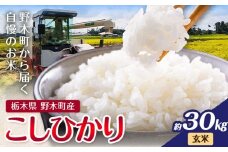 米 令和7年産 お米 コシヒカリ こしひかり 30kg 玄米 鈴木農園《30日以内に出荷予定(土日祝除く)》 栃木県 野木町産 栃木県 野木町産 