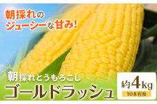 【先行予約】 とうもろこし 約4kg(10本程度) 野木町産 老沼 利治《2026年6月中旬-7月中旬頃出荷》栃木県 野木町 ジューシー 生食可能 旬の野菜 健康食 バーベキュー 焼き 茹で とうもろこし ゴールドラッシュ 黄色 イエロー 朝採れ クール便 先行予約 野菜 スイートコーン コーン