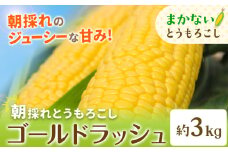 【先行予約】とうもろこし 農家のまかない 約3kg 野木町産 老沼 利治《2026年6月中旬-7月中旬頃出荷》栃木県 野木町 ジューシー 生食可能 旬の野菜 健康食 バーベキュー 焼き 茹で とうもろこし ゴールドラッシュ 黄色 イエロー 朝採れ クール便 先行予約 野菜 スイートコーン コーン
