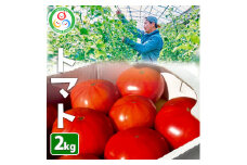 《先行予約》トマト 約2kg | 野菜 とまと 夏野菜 やさい サラダ 新鮮 季節 限定 期間限定 農家直送 しおやブランド
※2025年3月上旬～5月中旬頃に順次発送予定