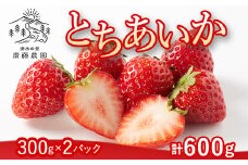 とちあいか（300g×2パック 計600g）風袋入り ｜ 手作り 厳選 農家 特産品 新鮮 フレッシュ ストロベリー 苺 イチゴ 栃木県 塩谷町 ※2025年12月上旬～2026年4月下旬頃に順次発送予定 ※北海道・沖縄・離島への配送不可