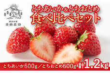 とちあいか600g＆とちおとめ600g 食べ比べセット 計1.2kg 風袋入り ｜ 人気 2品種 食べ比べ 手作り 厳選 農家 特産品 新鮮 フレッシュ ストロベリー 苺  塩谷町 ※2025年12月上旬～2026年4月下旬頃に順次発送予定 ※北海道・沖縄・離島への配送不可