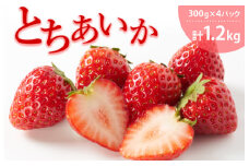 とちあいか（300g×4パック 計1.2kg）風袋入り ｜ 手作り 厳選 農家 特産品 新鮮 フレッシュ ストロベリー 苺 イチゴ 栃木県 塩谷町 ※2025年12月上旬～2026年4月下旬頃に順次発送予定 ※北海道・沖縄・離島への配送不可