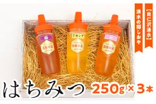 【尚仁沢湧水】 湧水の郷しおや はちみつ250g×3本セット
