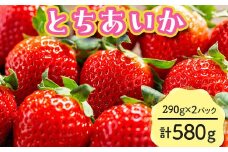 【先行予約】とちあいか 290g×2パック 計580g｜いちご イチゴ 苺 贈答用 ギフト 風袋入り 平詰め ハンモックトレー 果物 くだもの フルーツ 数量限定 しおやブランド いちごソムリエ 栃木県 塩谷町 ※2026年1月中旬～3月下旬頃に順次発送予定 ※離島への配送不可