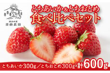 とちあいか約300g＆とちおとめ約300g　計約600g ※北海道・沖縄・離島への配送不可 ※2025年12月上旬～2026年4月下旬頃に順次発送予定