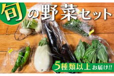 旬の野菜セット 5種類以上お届け｜季節の野菜 詰合せ 塩谷町 栃木県　※北海道・沖縄・離島への配送不可