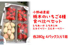【先行受付】いちご王国栃木 いちご4種食べ比べセット (とちあいか とちおとめ スカイベリー ミルキーベリー各280g 4パック入り1箱) ｜果物 栃木県産 小野崎農園 数量限定 期間限定※2026年1月上旬～3月下旬頃に順次発送予定