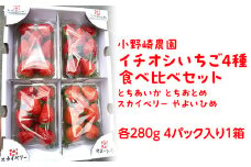 【先行受付】小野崎農園 イチオシいちご4種食べ比べセット (とちあいか とちおとめ スカイベリー やよいひめ各280g 4パック入り1箱) ｜果物 苺 栃木県産 小野崎農園 数量限定 期間限定※2026年1月上旬～3月下旬頃に順次発送予定
