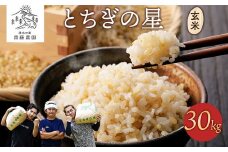 《先行受付》令和7年産新米 とちぎの星玄米30kg｜ 米 お米 国産 栃木県 塩谷町 ※2025年11月上旬頃より順次発送予定