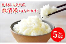 水清米（コシヒカリ）5kg｜こしひかり 米 新米 精米 こめ コメ 名水百選 国産 産地直送 期間限定 栃木県 塩谷町 ※2025年10月上旬頃より順次発送予定