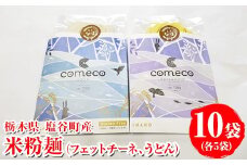 米粉麺 10袋（フェットチーネ、うどん各5袋）｜麺 家庭用 グルテンフリー 小麦粉不使用 こしひかり 米 こめ 名水百選 産地直送 期間限定 栃木県 塩谷町 ※2025年12月上旬～2026年5月下旬頃に順次発送予定