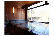 中藤屋旅館宿泊利用券〔D-13〕≪旅行 旅 温泉 旅館≫