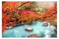 紅葉の露天風呂