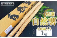 那須町産 自然薯 1kg 化粧箱入り ◇｜贈り物 とろろ とろろご飯 山芋 健康 国産 産地直送 那須 栃木県 那須町〔P-351〕 ※2025年12月頃より順次発送予定