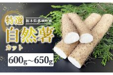 那須町産 自然薯（カット）600g～650g｜カット お土産 贈り物 ご自宅用 とろろ とろろご飯 山芋 健康 国産 産地直送 那須 栃木県 那須町〔P-151〕 ※2025年12月頃より順次発送予定