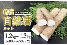 那須町産 自然薯（カット）1.2kg～1.3kg｜カット お土産 贈り物 ご自宅用 とろろ とろろご飯 山芋 健康 国産 産地直送 那須 栃木県 那須町〔P-152〕 ※2025年12月頃より順次発送予定 