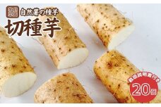 自然薯の種芋「切種芋」20個 自然薯 種芋 家庭菜園 那須町 〔C-38〕
※2025年3月中旬頃より順次発送予定