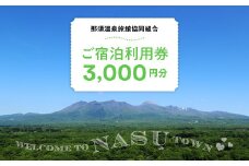 那須温泉旅館協同組合 ご宿泊利用券 3,000円分（3,000円×1枚）〔B-9〕｜宿泊 旅行 チケット 宿泊券 温泉 露天風呂 旅行券 ホテル 観光 国内旅行 那須 栃木県 那須町