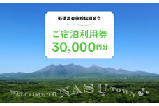 那須温泉旅館協同組合 ご宿泊利用券 30,000円分（3,000円×10枚）〔G-16〕｜宿泊 旅行 チケット 宿泊券 温泉 露天風呂 旅行券 ホテル 観光 国内旅行 那須 栃木県 那須町