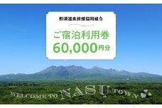 那須温泉旅館協同組合 ご宿泊利用券 60,000円分（3,000円×20枚）〔I-9〕｜宿泊 旅行 チケット 宿泊券 温泉 露天風呂 旅行券 ホテル 観光 国内旅行 那須 栃木県 那須町