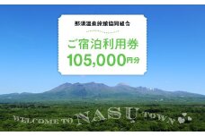 那須温泉旅館協同組合 ご宿泊利用券 105,000円分（3,000円×35枚）〔L-2〕｜宿泊 旅行 チケット 宿泊券 温泉 露天風呂 旅行券 ホテル 観光 国内旅行 那須 栃木県 那須町