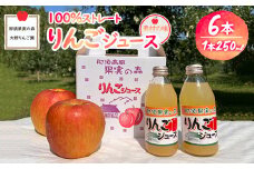 那須果実の森りんごジュース250ml×6本〔P-229〕｜リンゴジュース 林檎ジュース 100％ 果物 フルーツ
