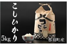 【令和6年産】那須町産こしひかり5kg お米 精米 国産 栃木県 那須町産 〔P-125〕