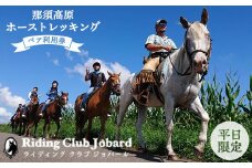 那須高原ホーストレッキング2時間の高原を外乗ペア利用券【平日限定】チケット 利用券 ペア 体験 乗馬　初心者歓迎〔P-100〕
