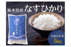 令和6年産 栃木県産 なすひかり 5kg JAなすの産地直送【大田原市・那須塩原市・那須町共通返礼品】〔P-85〕　※離島への配送不可