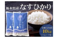 令和6年産 栃木県産 なすひかり 10kg JAなすの産地直送【大田原市・那須塩原市・那須町共通返礼品】〔C-75〕　※離島への配送不可
