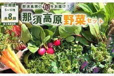 【定期便】那須ブランド 那須高原野菜セット（月1回／5月～12月／全8回）｜野菜 お野菜 新鮮 詰め合わせ やさい みずみずしい 美味しい 自然 栃木県 那須町〔P-65〕
※北海道・沖縄・離島への配送不可
※2025年5月より順次発送予定