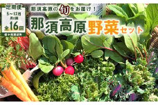 【定期便】那須ブランド 那須高原野菜セット（月2回／5月～12月／全16回）｜野菜 お野菜 新鮮 詰め合わせ やさい みずみずしい 美味しい 自然 栃木県 那須町〔P-66〕
※北海道・沖縄・離島への配送不可
※2025年5月より順次発送予定