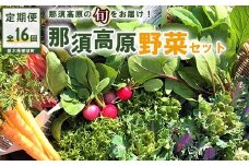 【全16回定期便】那須ブランド 那須高原野菜セット（5月後半1回、6月～12月各月2回、翌年1月1回）｜ 野菜 お野菜 新鮮 詰め合わせ やさい みずみずしい 美味しい〔P-66〕※北海道・沖縄・離島への配送不可 ※2026年5月中旬～2027年1月下旬頃に順次発送予定