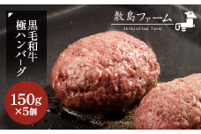 那須高原 敷島和牛手作りハンバーグ（150g×5個）計750g 小分け ハンバーグ 肉 お肉 牛肉 国産 黒毛和牛 冷凍 栃木県 那須町《敷島ファーム》〔B-82〕
※着日指定不可
※北海道・沖縄・離島への配送不可