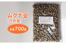 ムクナ豆（八升豆）生豆 700g〔C-58〕