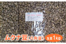 ムクナ豆（八升豆）生豆1kg 〔D-47〕