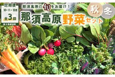 【定期便3回】那須ブランド 秋冬の那須高原野菜セット 野菜 お野菜 新鮮 詰め合わせ やさい みずみずしい 美味しい 自然 栃木県 那須町〔D-59〕 ※着日指定不可 ※北海道・沖縄・離島への配送不可 ※2024年10月上旬～12月下旬頃に順次発送予定