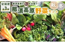 【3か月定期便】那須ブランド 秋冬の那須高原野菜セット ｜ 野菜 お野菜 新鮮 詰め合わせ やさい みずみずしい 美味しい 自然 栃木県 那須町〔D-59〕 ※北海道・沖縄・離島への配送不可 ※2026年9月上旬～11月下旬頃に順次発送予定