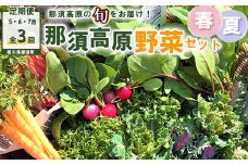 【定期便3回】那須ブランド 春夏の那須高原野菜セット｜野菜 お野菜 新鮮 詰め合わせ やさい みずみずしい 美味しい 自然 栃木県 那須町〔D-60〕※北海道・沖縄・離島への配送不可 ※2025年5月上旬～7月下旬頃に順次発送予定