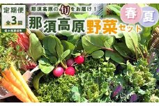 【3か月定期便】那須ブランド 春夏の那須高原野菜セット ｜ 野菜 お野菜 新鮮 詰め合わせ やさい みずみずしい 美味しい 自然 栃木県 那須町〔D-60〕※北海道・沖縄・離島への配送不可 ※2026年6月上旬～8月下旬頃に順次発送予定