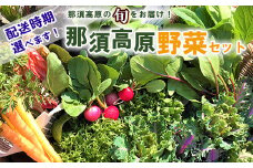 【9月発送】那須ブランド 那須高原野菜セット 野菜 お野菜 新鮮 詰め合わせ やさい みずみずしい 美味しい 自然 栃木県 那須町〔B-80〕
※着日指定不可
※北海道・沖縄・離島への配送不可
※2023年5月より順次発送予定
