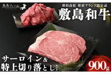 那須高原 敷島和牛 サーロイン・特上切り落としセット 計900g 国産 黒毛和牛 和牛 牛肉 お肉 肉 ステーキ サーロインステーキ 切り落とし ギフト お祝い 冷凍 栃木県 那須町《敷島ファーム》〔P-168〕
※着日指定不可
※離島への配送不可