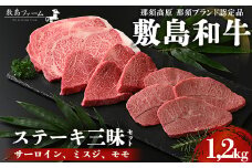 那須高原 敷島和牛 ステーキ三昧セット 計1.2kg 国産 黒毛和牛 和牛 牛肉 お肉 肉 ステーキ サーロインステーキ ギフト お祝い 冷凍 栃木県 那須町《敷島ファーム》〔P-169〕
※着日指定不可
※離島への配送不可