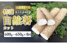 【定期便4ヵ月】那須町産 自然薯（カット）600g～650g ｜とろろ 贈り物 お土産 グルメ 美味しい おいしい 食べ物 那須 栃木県 那須町〔P-214〕 ※2025年12月頃より順次発送予定