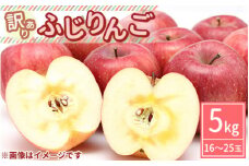 【先行受付】【訳あり】ふじりんご 約5kg（16～25玉）〔B-100〕| りんご リンゴ 林檎 フルーツ 果物 果実 わけあり 傷 数量 限定 先行予約 那須 栃木県 那須町
※2024年10月中旬頃より順次発送予定