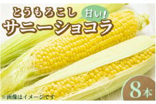 【先行受付】とうもろこし サニーショコラ 8本〔B-101〕 ｜ トウモロコシ コーン 先行予約 数量 限定 生 甘い 野菜 やさい 那須 栃木県 那須町　※2025年8月上旬頃より順次発送予定