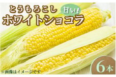 【先行受付】とうもろこし ホワイトショコラ 6本〔B-102〕 ｜ トウモロコシ コーン 先行予約 数量 限定 生 甘い 野菜 やさい 那須 栃木県 那須町　※2025年8月上旬頃より順次発送予定