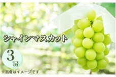 【先行受付】シャインマスカット 3房 約1.5kg〔P-217〕 | ぶどう 旬 マスカット フルーツ 果物 果実 数量 限定 くだもの 先行予約 ブドウ 葡萄 那須 栃木県 那須町
※2025年9月中旬頃より順次発送予定